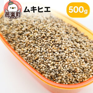 yӂ邳Ɣ[ŁzLqG 500g×1 TCgEER[|[V 