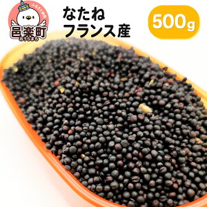 yӂ邳Ɣ[ŁzȂ tXY 500g×1 TCgEER[|[V 