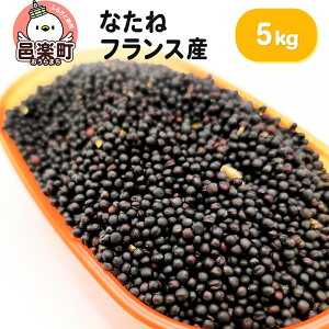 yӂ邳Ɣ[ŁzȂ tXY 5kg×1 TCgEER[|[V 