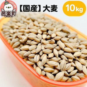 yӂ邳Ɣ[ŁzyYz唞 10kg×1 TCgEER[|[V 