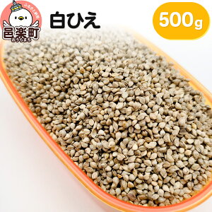 yӂ邳Ɣ[ŁzЂ Ђ 500g×1 TCgEER[|[V 