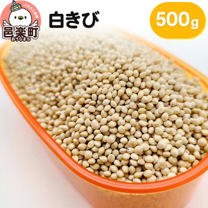 yӂ邳Ɣ[Łz 500g×1 TCgEER[|[V 