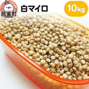 yӂ邳Ɣ[Łz}C 10kg×1 TCgEER[|[V 