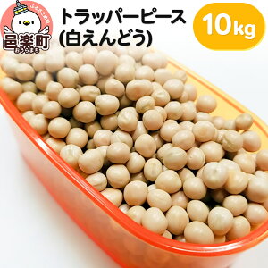 yӂ邳Ɣ[Łzgbp[s[Xiǂj10kg×1 TCgEER[|[V 