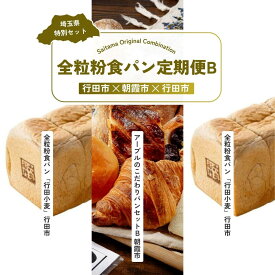 【ふるさと納税】【全3回定期便】全粒粉食パン定期便B | パン 食パン クロワッサン 詰め合わせ 詰合せ 国産 小麦 はるゆたか 米粉 全粒粉 セット 埼玉県 埼玉県庁