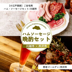 【ふるさと納税】ハムソーセージ晩酌セット | ハム パストラミハム 生ハム スライス ポークジャーキー ジャーキー チョリソー ビール クラフトビール 埼玉県 埼玉県庁