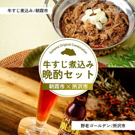 【ふるさと納税】牛すじ煮込み晩酌セット | 牛すじ 松阪牛 武州和牛 国産牛肉 牛肉 お肉 肉 ビール クラフトビール 埼玉県 埼玉県庁