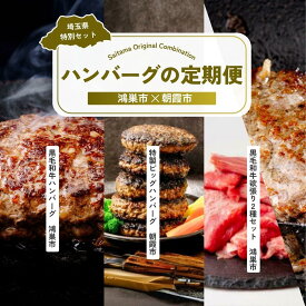 【ふるさと納税】【全3回定期便】ハンバーグセット | ハンバーグ 黒毛和牛 武州和牛 嬉嬉豚 食べ比べ 切り落とし 牛肉 お肉 肉 埼玉県 埼玉県庁