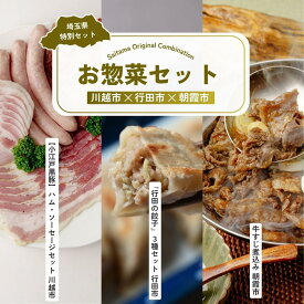 【ふるさと納税】お惣菜セット | ハム ベーコン ソーセージ ポークジャーキー ジャーキー 餃子 ぎょうざ 点心 牛すじ煮込み すじ煮 牛肉 国産 惣菜 埼玉県 埼玉県庁