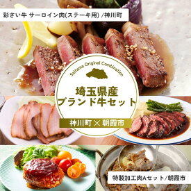 【ふるさと納税】埼玉県産ブランド牛セットA | 牛肉 サーロイン ステーキ 彩さい牛 ブランド牛 ローストポーク ローストビーフ チャーシュー ハンバーグ 埼玉県 埼玉県庁