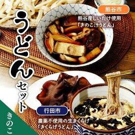【ふるさと納税】うどんセット（きのこ） | うどん 乾麺 きくらげ 乾燥きくらげ きのこ きのこうどん 麺 麺類 小麦 埼玉県 埼玉県庁