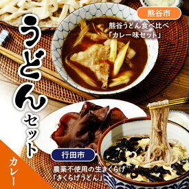 【ふるさと納税】うどんセット（カレー） | うどん 乾麺 きくらげ 乾燥きくらげ カレー カレーうどん 麺 麺類 食べ比べ 小麦 埼玉県 埼玉県庁