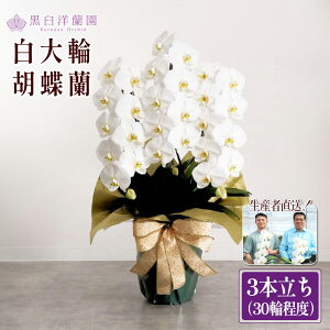 yӂ邳Ɣ[Łz֌Ӓ@3{30֒xiڂ݊܂ށj@y11100-0120z