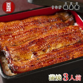 【ふるさと納税】【満寿家】国産うなぎ蒲焼　3人前　【11100-0142】＃ うなぎ 国産 鰻 ウナギ 蒲焼 土用 丑の日 ニホンウナギ 紀州備長炭 ふわとろ 秘伝のタレ 浦和のうなぎ 浦和のうなぎを育てる会 埼玉県 さいたま市 浦和 満寿家