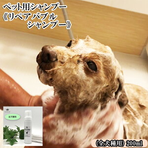 yӂ邳Ɣ[ŁzybgpVv[syAouVv[t200ml (Sp)@y11100-0720z