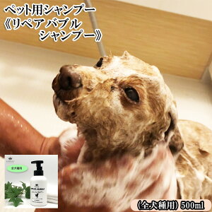 yӂ邳Ɣ[ŁzybgpVv[syAouVv[t500ml (Sp)@y11100-0721z