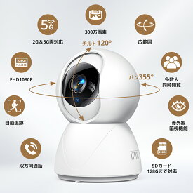 【ふるさと納税】監視カメラ　【11100-1647】 送料無料 ギフト プレゼント ソウシア商事株式会社 さいたま市 埼玉県