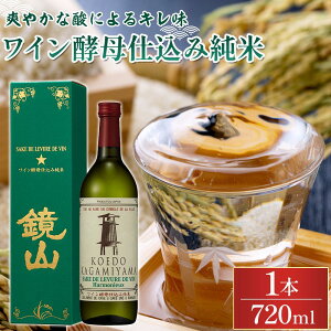yӂ邳Ɣ[ŁzR@Cydݏā@720ml ^  ʌ Yi