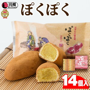yӂ邳Ɣ[Łzۂۂ14 ^ ܈ aَq ʌ