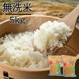【ふるさと納税】無洗米　川越でとれたお米　5kg ／ 白米 埼玉県 こしひかり 彩のきずな主体のブレンド米