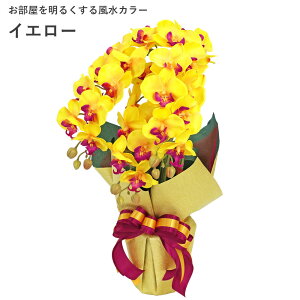 yӂ邳Ɣ[Łz VNt[̌Ӓ̔A 3{ CTG}EG} ^  R`E ʌ |  VNt[ Ӓ 3{ A CTG} G} zCgI[Lbh Cg
