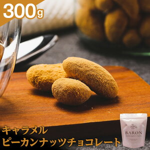 yӂ邳Ɣ[ŁzLs[Jibc`R[g@300g | َq  Hi lC  