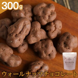 yӂ邳Ɣ[ŁzEH[ibc`R[g@300g | َq  Hi lC  