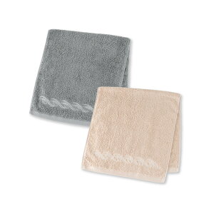 【ふるさと納税】【1秒タオル】プレジール フェイスタオル2枚セット