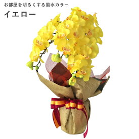 【ふるさと納税】造花 シルクフラワーの胡蝶蘭の鉢植 3本立 CT触媒・光触媒 ／ お花 コチョウラン 埼玉県 | 造花 シルクフラワー 胡蝶蘭 3本立 鉢植 CT触媒 光触媒 ホワイトオーキッド ライトパープル イエロー 華やか 高級 お祝い 開店祝い 開院祝い