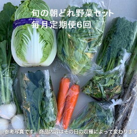 【ふるさと納税】旬の朝どれ野菜セット×6回 ／ やさい 朝採れ 埼玉県