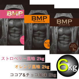 【ふるさと納税】 プロテイン BMP 6kg セット 各2kg×3種類 ココア＆チョコ ストロベリー オレンジ 筋トレ ボディメイク たんぱく質 タンパク質 栄養補給 ホエイ プロテイン 送料無料 埼玉県 No.669