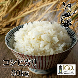 【ふるさと納税】河越米 30kg / お米 白米 こしひかり 埼玉県