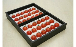 yӂ邳Ɣ[Łzy5{܂łɔzÂĔx8xȏIt[cg}g