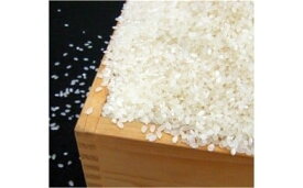 【ふるさと納税】熊谷のおいしいお米「キヌヒカリ」精米8キロ