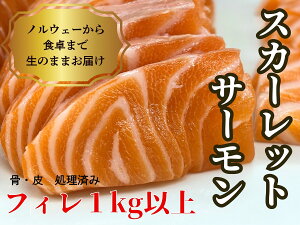 yӂ邳Ɣ[ŁzXJ[bgT[iAgeBbNT[j@1000gȏ