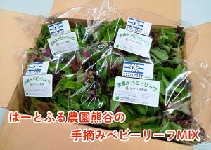 �y�ӂ邳�Ɣ[�Łz�́[�Ƃӂ�_���F�J�@�x�r�[���[�tMIX�i50g×10�܁j