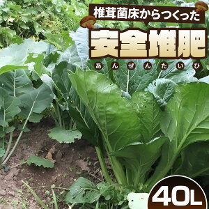 yӂ邳Ɣ[ŁzNo.164 őۏS͔@40L ^ 엿 y | K[fjOpi  ʌ