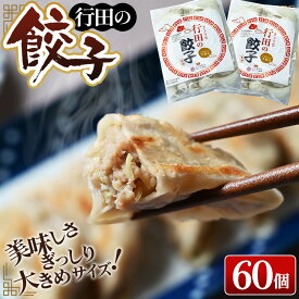 【ふるさと納税】行田の餃子2袋セット　1500g ／ ぎょうざ ギョウザ 送料無料 埼玉県 No.274