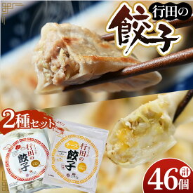 【ふるさと納税】餃子セット（行田のチーズ餃子・行田の餃子）各1袋 ／ ぎょうざ ギョウザ 送料無料 埼玉県 No.280