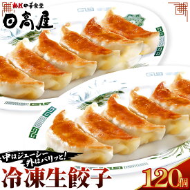【ふるさと納税】日高屋 冷凍生餃子 【120個】 ／ ぎょうざ ギョーザ 中華 惣菜 人気 冷凍 手軽 簡単 本格中華 特製 美味しい ジューシー 肉汁たっぷり コク 送料無料 埼玉県 No.308