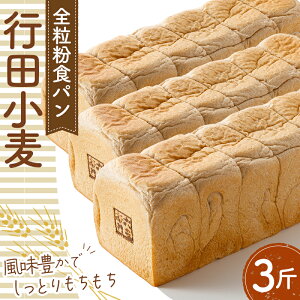 yӂ邳Ɣ[ŁzSHpuscv3ҁ@1200g ^ S L Ƃ  {[  ʌ No.335