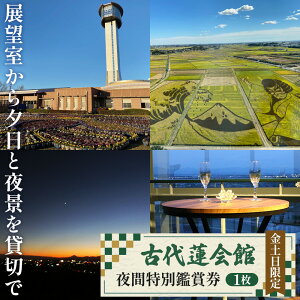 yӂ邳Ɣ[ŁzÑ@فEԓʊӏ܌`W][Ɩiݐ؂ŁI` ^ `Pbg ݂؂ cڃA[g w  ʌ No.338