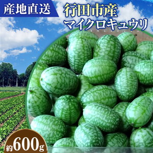 yӂ邳Ɣ[ŁzNo.395 yYnzscsY}CNLE@600g ^ イ T_  h{  ʌ