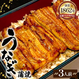 【ふるさと納税】うなぎ蒲焼（真空パック）3人前 ／ 鰻 ニホンウナギ 厳選 送料無料 埼玉県 No.413