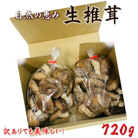 【ふるさと納税】訳ありでも美味しい！自然の恵み生椎茸720g ／ しいたけ 野菜 煮物 鍋 栄養 送料無料 埼玉県 No.467