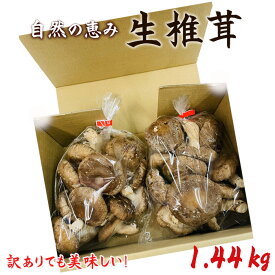 【ふるさと納税】訳ありでも美味しい！自然の恵み生椎茸1.44kg ／ しいたけ 野菜 煮物 鍋 栄養 送料無料 埼玉県 No.468
