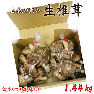 yӂ邳Ɣ[ŁzNo.468 󂠂łIŘbݐő1.44kg ^   ϕ  h{  ʌ