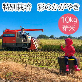【ふるさと納税】特別栽培　彩のかがやき　精米10kg ／ お米 せい米 送料無料 埼玉県 No.480