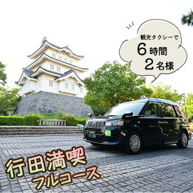 【ふるさと納税】観光タクシーで行く！6時間行田満喫フルコース（2名様） ／ 行田観光 旅 旅行 トラベル 専用ガイド 観光ガイド ご当地 グルメ ショッピング 特別ツアー 安全 効率がいい スムーズ リラックス 入場料込み 送料無料 埼玉県 No.492