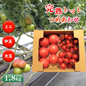 【ふるさと納税】No.508 トマト いろいろ詰合せセット 1.8kg入り箱 ／ とまと 野菜 新鮮 完熟 ミニ 中玉 大玉 3種類 詰め合わせ セット 食べ比べ 産地直送 農家直送 サラダ 行田市産 特産 送料無料 埼玉県